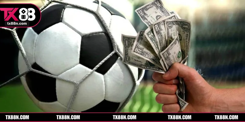 Gợi ý vào mẹo hay để thắng khi chơi odds MY cho người mới